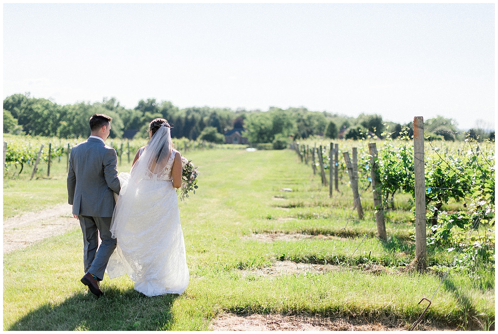 newlywed couple walk hand in hand through the vines at casa larga new york winery wedding venue at sunset