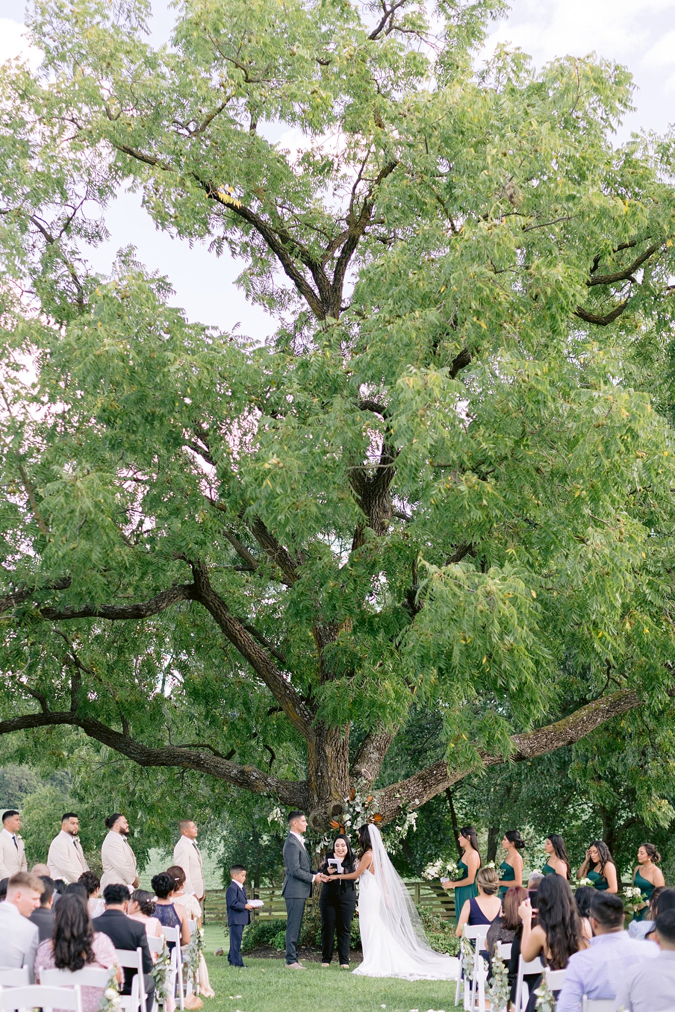 wide image of wedding ceremony taking place beneath the large trees at walker's overlook wedding venue in maryland